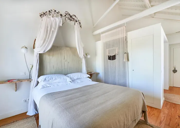 Romana Vini Hotel, Quinta do Porto Nogueira - Adults Only